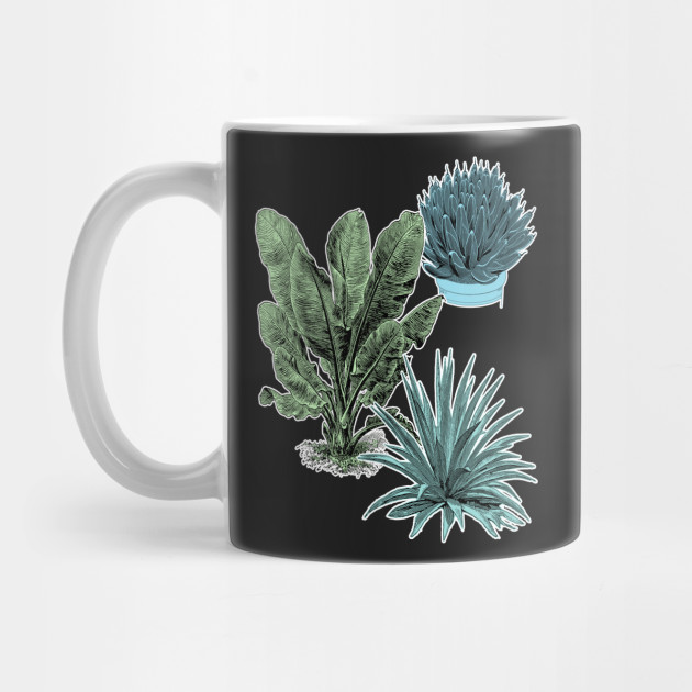 Tropical Plants | Succulent Banana Leaves